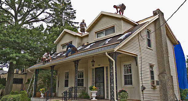 Best Residential Roofing Contractor  in Wakefield, NE